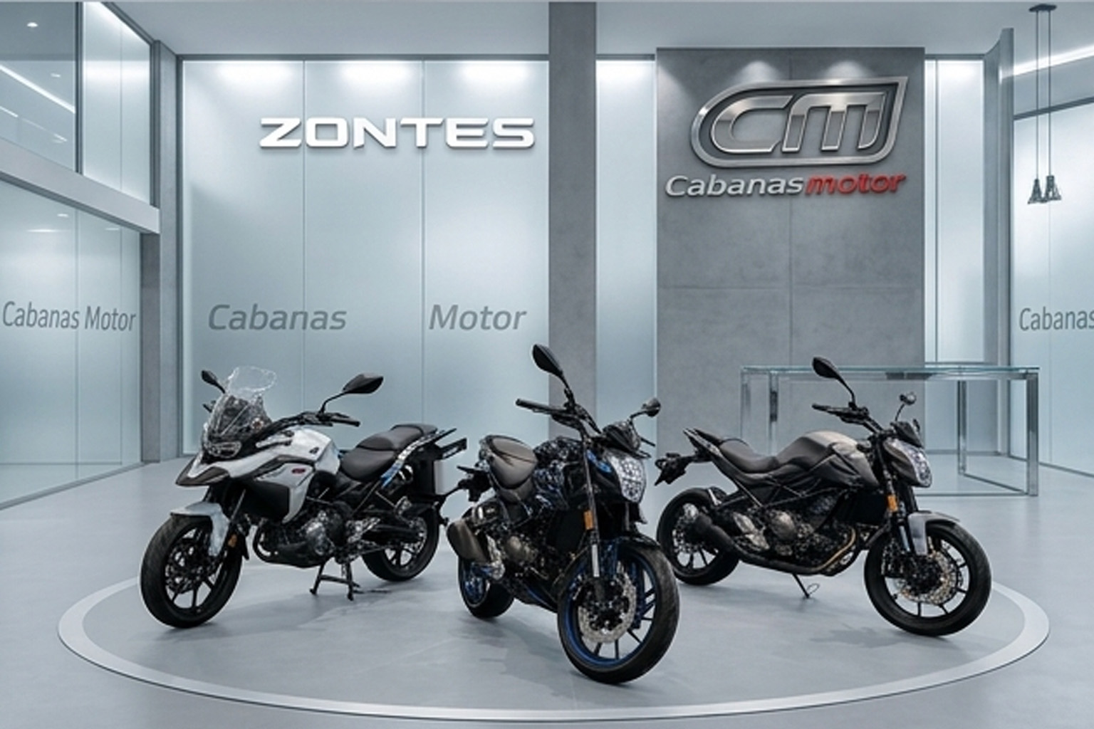 Zontes